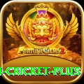 afghanistan cricket - Slots Super