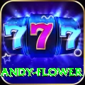 andy flower Pro Max v5.7.2