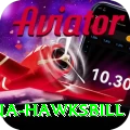 antigua hawksbill Premium v2.0.3