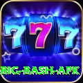 bbl big bash apk Pro Edition v3.2.3
