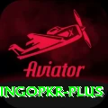 bingopkr Ultimate Pro v3.6.0