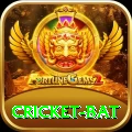 cricket bat Pro Max v5.0.9