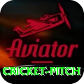 cricket pitch Deluxe v4.3.1