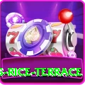 dhampus rice terrace VIP v3.5.3