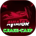 grass carp Pro1 v4.3.5