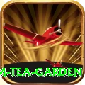 hile ilam tea garden Games (Casino & Earning) Pro v2.6.1