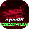 hong kong cricket team Max Pro v1.0.2