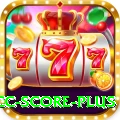 icc score Max New