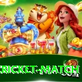 india cricket match Deluxe v1.2.6