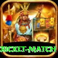 india pakistan cricket match Elite Pro v2.9.3