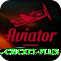 international cricket - Supreme Edition v2.6.7