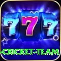 ireland cricket team Elite Pro v2.4.9