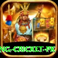 make money betting cricket pk Premium v3.1.4