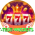 most test wickets VIP v4.6.4