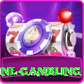 online gambling Pro Edition v1.1.4