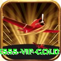 pak555 - VIP Gold