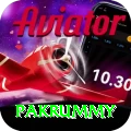 pakrummy Apps (Tools & Injectors) Ultimate v5.3.6