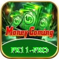 pk11 Pakistan Deluxe v4.6.8