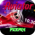 pkspin Plus Edition v5.5.8