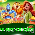 risk free bet cricket VIP