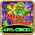 smartcric live cricket Turbo v3.9.8