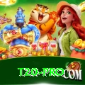 t20 - Supreme v4.6.4