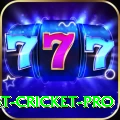 test cricket APK King v5.0.8