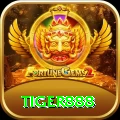 tiger888 Plus vv3.7.6