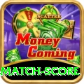 today cricket match score Elite v3.4.2