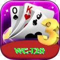 wc t20 Turbo Pro v1.4.7