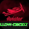 willow cricket Elite v2.8.9