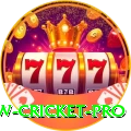 willow cricket Earn Master v1.7.3