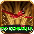 world cup t20 schedule Gold Pro v3.5.1